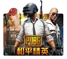 Pubg - GECKO158