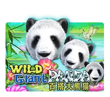Joker123 : Wild Giant Panda - GECKO158